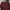Goodfellow & Co Minimalist Crop top Wanita burgundy photo 1