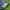 Adidas Sportswear Boots Pria white blue photo 6