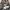 Dickies Vintage Y2K Hoody Pria silver gray photo 3