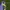 Nike Sportswear Boots Pria purple yellow photo 6