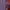 Streetwear Casual Formal shirt Pria purple white photo 3