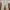 Dickies Casual Casual pants Pria khaki photo 3