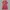 Sandro Paris Luxury Midi dress Wanita red photo 1