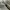 Asics Gorpcore Casual Sneakers Pria green gray photo 2