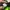New Balance Gorpcore Casual Sneakers Pria green gray photo 4