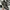 Salomon Gorpcore Sportswear Sneakers Pria Multicolor