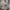 Undercover Goth Avant Garde Cardigan Wanita green brown photo 4