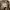 Undercover Goth Avant Garde Cardigan Wanita green brown photo 3