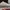 Adidas Sportswear Sandals & slide Wanita white photo 6