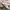 Adidas Streetwear Sportswear Sneakers Pria white red photo 1