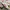 Adidas Streetwear Sportswear Sneakers Pria White Red