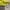 FUCT Vintage Streetwear T-shirt Pria yellow photo 7