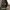 Y2K Grunge Hat Pria tan black photo 5
