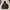 Nike ACG Y2K Sportswear Track jacket Pria black photo 4