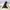 Nike ACG Y2K Sportswear Track jacket Pria black photo 1