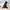 Nike ACG Y2K Sportswear Track Jacket Pria Black