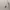 Polo Ralph Lauren Casual Sweater Pria gray photo 5