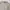 Polo Ralph Lauren Casual Sweater Pria gray photo 4