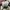 VANS Skater Casual Sneakers Pria white black photo 4