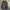 Timberland Vintage Streetwear Parka Pria navy photo 1