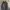 Timberland Vintage Streetwear Parka Pria Navy