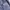Vintage Sportswear Windbreaker Pria white navy photo 6