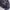 Champion Vintage Y2K Sweatshirt Pria navy black photo 5