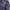 Champion Vintage Y2K Sweatshirt Pria navy black photo 3