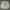 Hanes Vintage Casual Sweatshirt Pria Gray