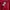 Champion Sportswear Short Pria red photo 5