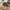 New Era Streetwear Casual Hat Pria gray photo 2