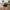 MLB Vintage Casual Hat Pria Multicolor