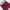 Dickies Biker Casual Casual pants Pria burgundy photo 3