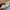 Vintage Streetwear Hat Pria cream blue photo 3