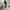 Carhartt Streetwear Y2K Casual Pants Pria Tan