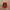 Vintage Streetwear Hat Pria red photo 2