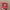 Vintage Streetwear Hat Pria red photo 1
