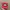 Vintage Streetwear Hat Pria Red