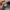 Vintage Streetwear Hat Pria black photo 4