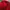 Japanese Brand Goth Casual Capes & Poncho Pria Red