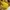 Japanese brand Vintage Y2K Jeans Pria yellow photo 6