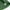 Casual Polo shirt Pria green photo 5