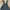 OshKosh Vintage Streetwear Dungaree Kids navy photo 3