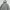 The North Face Streetwear Windbreaker Pria silver photo 2