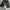 Kiddrock Vintage Casual Pants Pria Gray