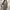 Minimalist Casual Casual dress Wanita gray photo 2