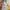 Angel Blue Vintage Y2K Sweatshirt Wanita yellow photo 6