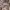 Matterial: cotton silky Full line Ld photo 3