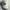 Streetwear Sportswear Hat Pria white photo 1