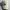 Streetwear Sportswear Hat Pria White